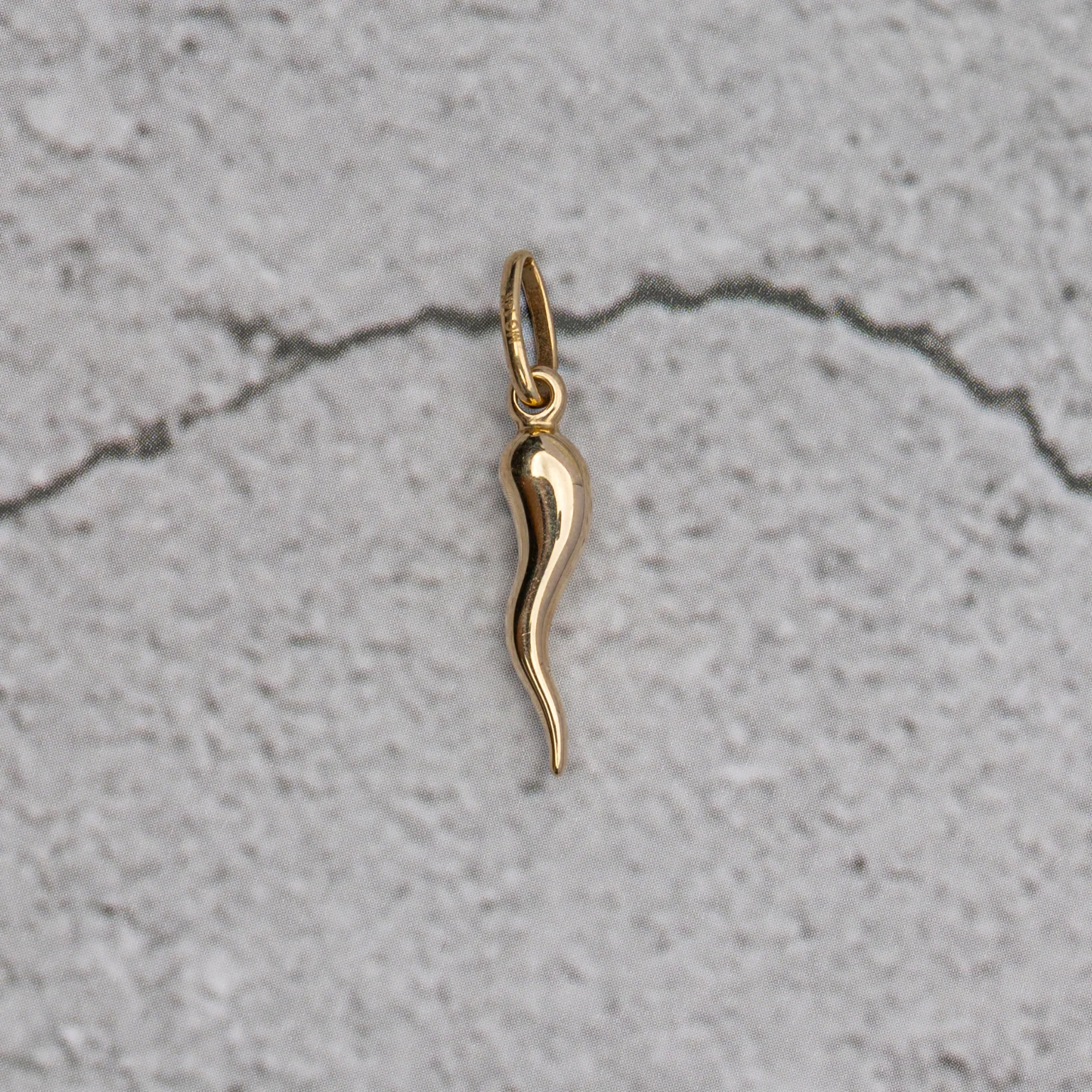 14k Horn Pendant - Golden Amulet - Image 3